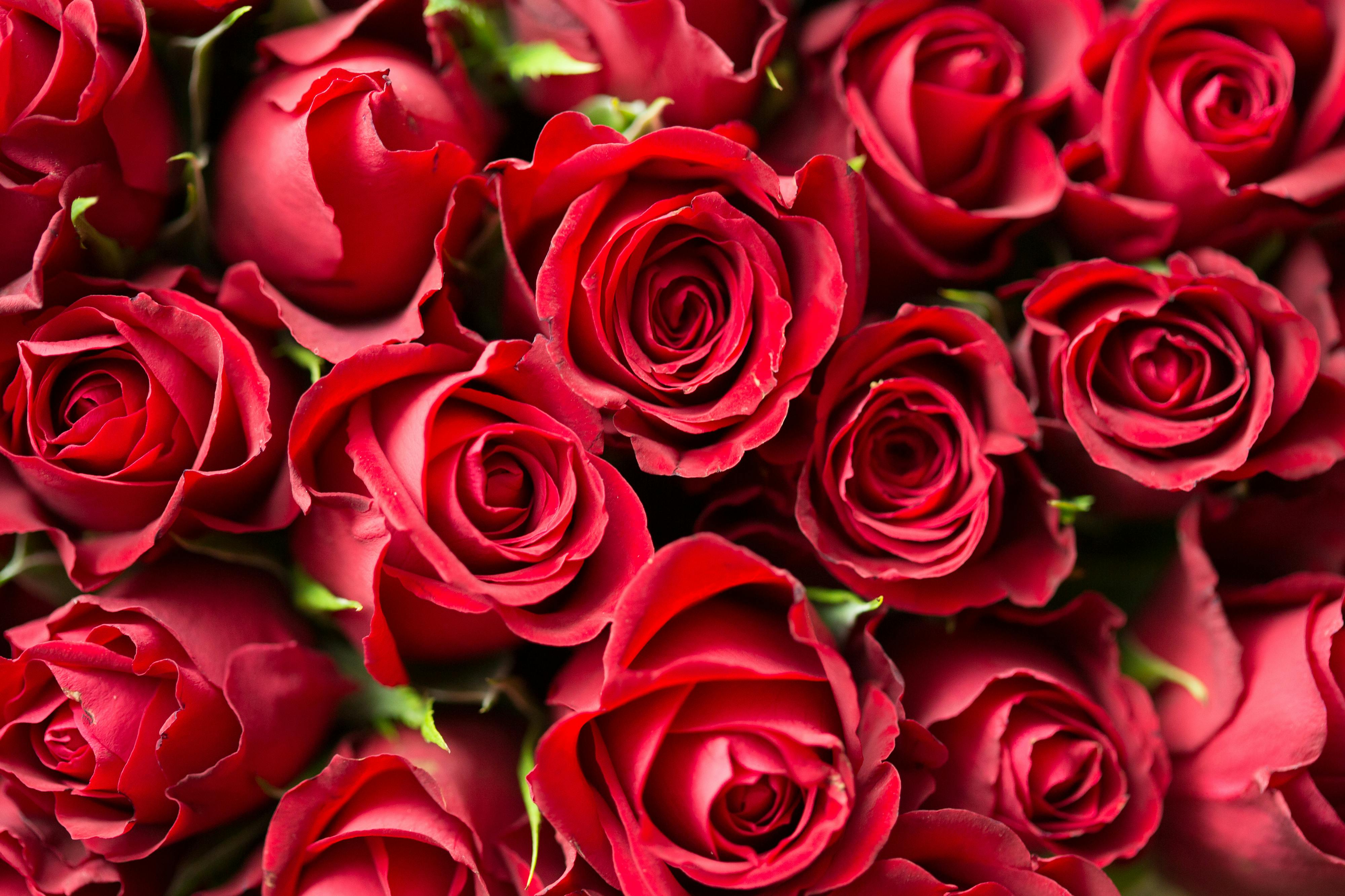 Corporate flowers and office floral arrangements