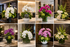 Fresh Flowers & Arrangements