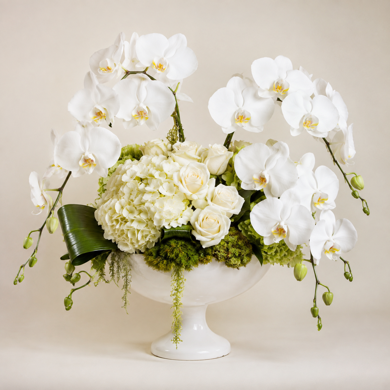 Orchid Grace Arrangement by Ultimate Creations, a premium florist in Fresh Meadows Queens NY