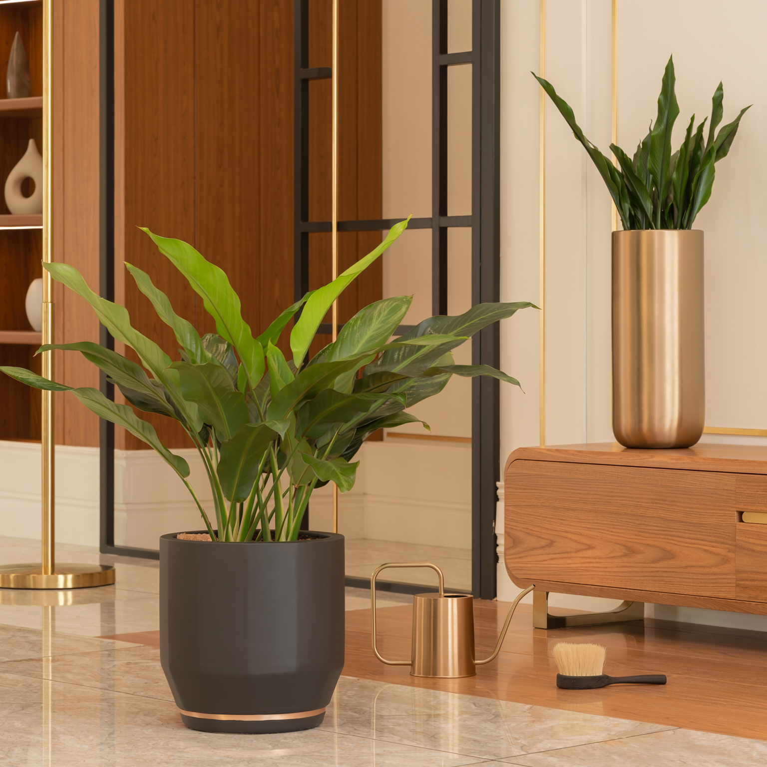 Living Plant and Greenery Membership premium business interior plant care image