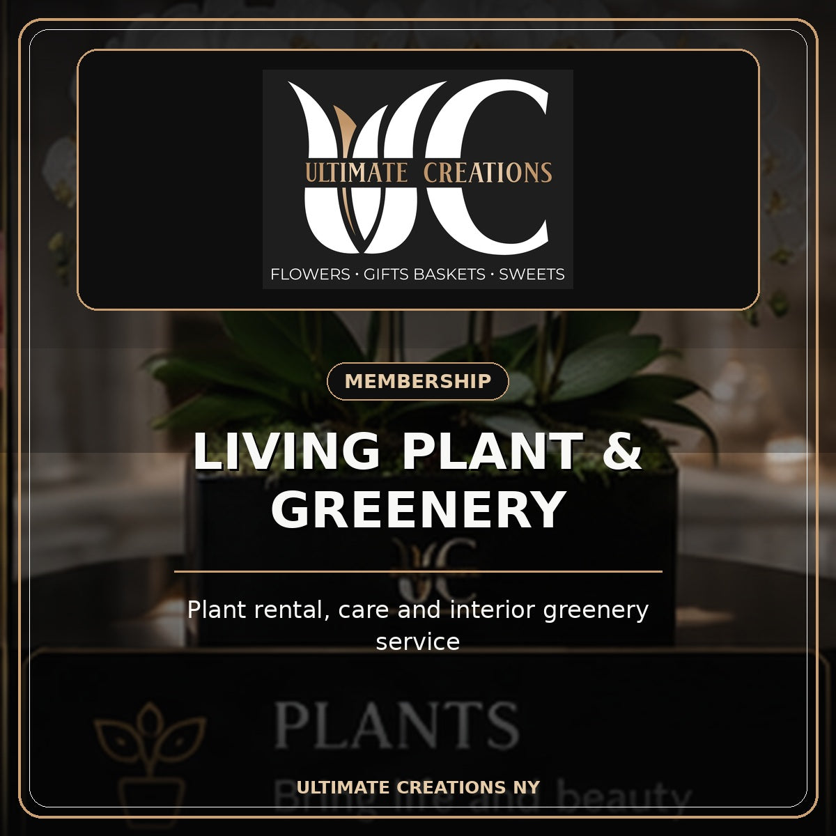 Ultimate Creations Living Plant and Greenery Membership with exact UC logo and indoor plant care service